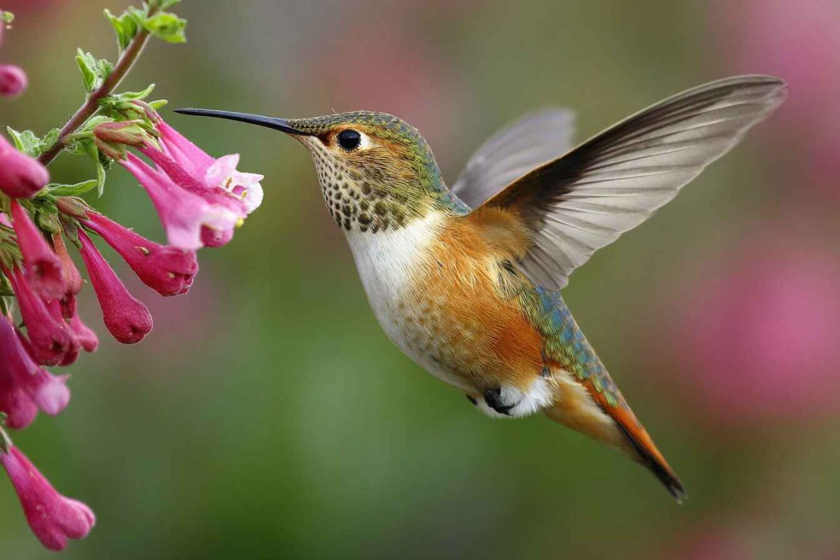 Изображение сгенерировано при помощи нейросети Midjourney