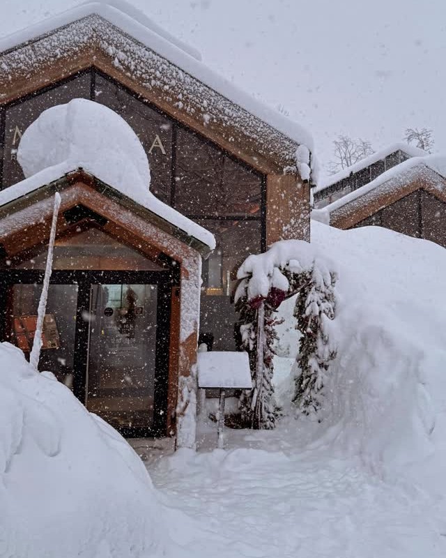 Фото: соцсети/@galichida