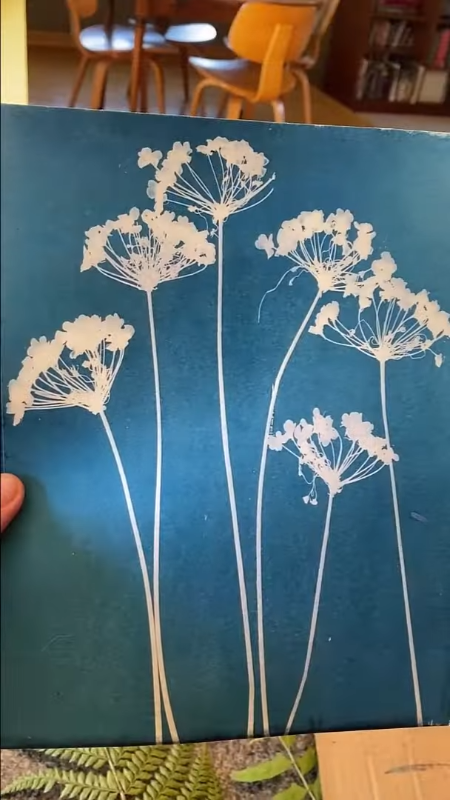 Фото: YouTube / @GardenMoxie