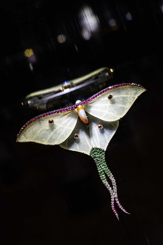 Фото: пресс-служба Государственного исторического музея