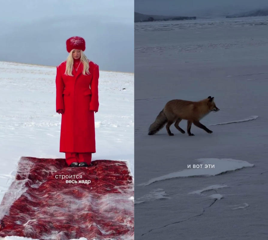 Фото: соцсети / @klavacoca