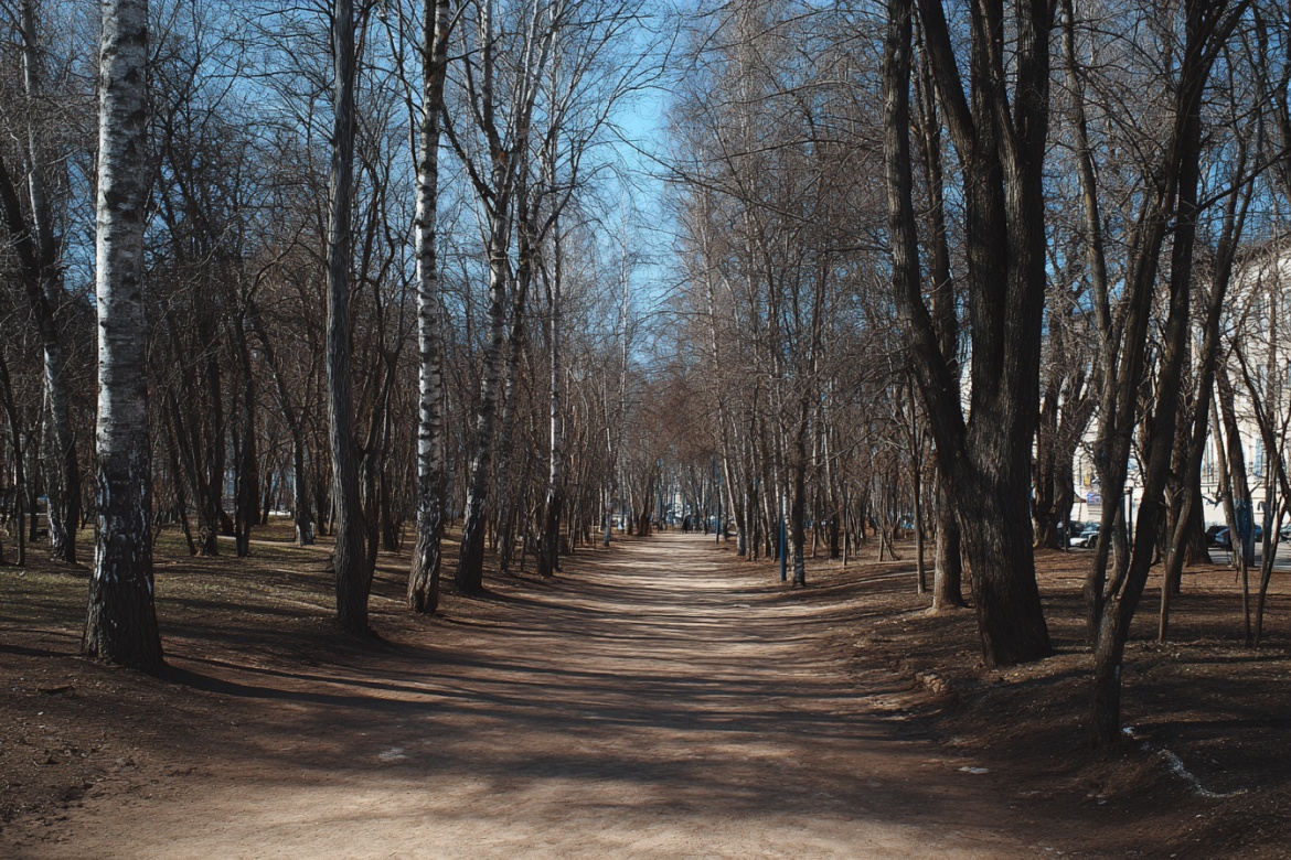 Изображение сгенерировано при помощи нейросети Midjourney