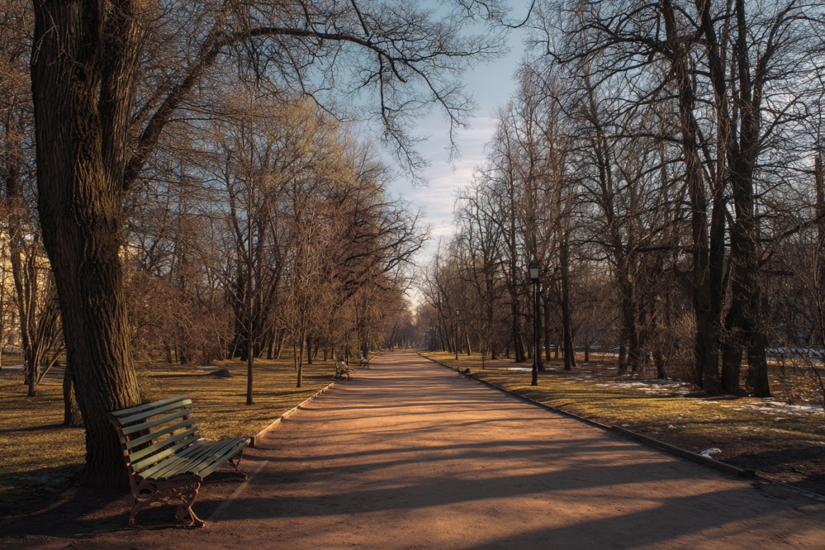 Изображение сгенерировано при помощи нейросети Midjourney