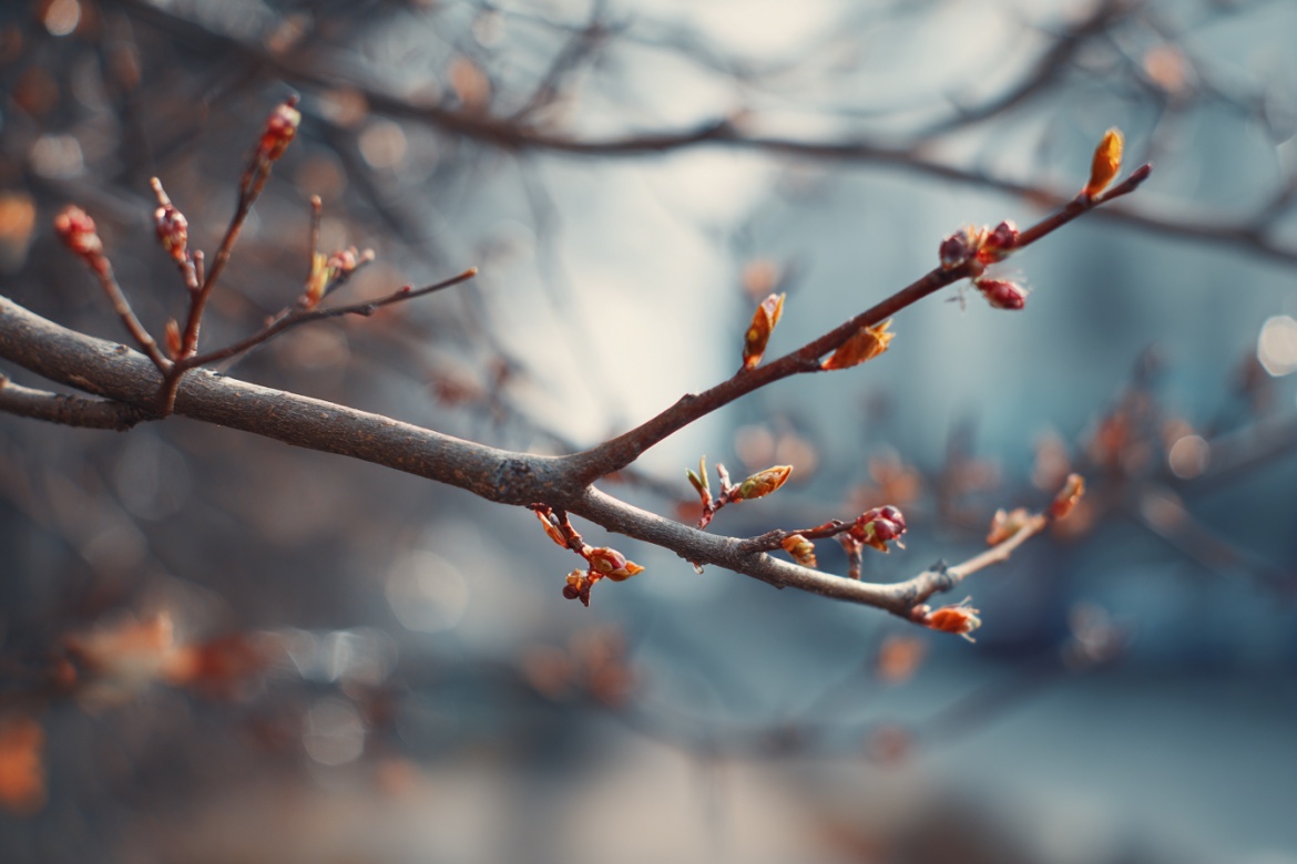 Изображение сгенерировано при помощи нейросети Midjourney