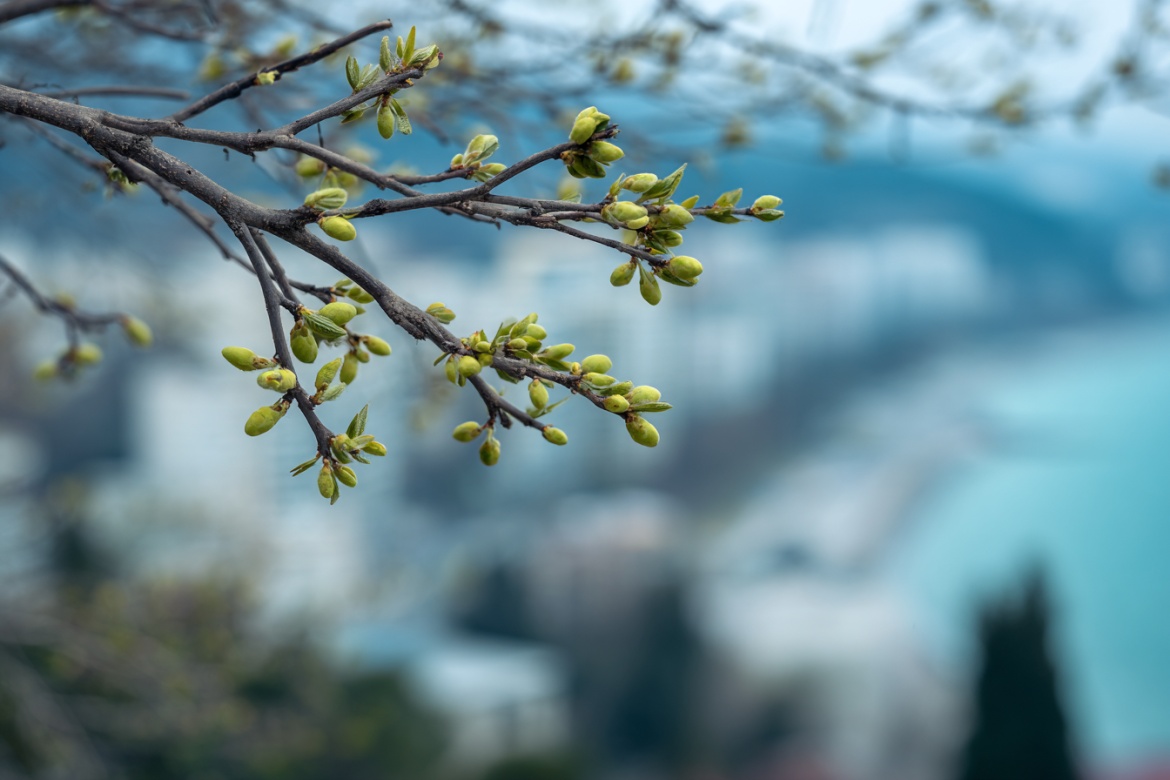 Изображение сгенерировано при помощи нейросети Midjourney