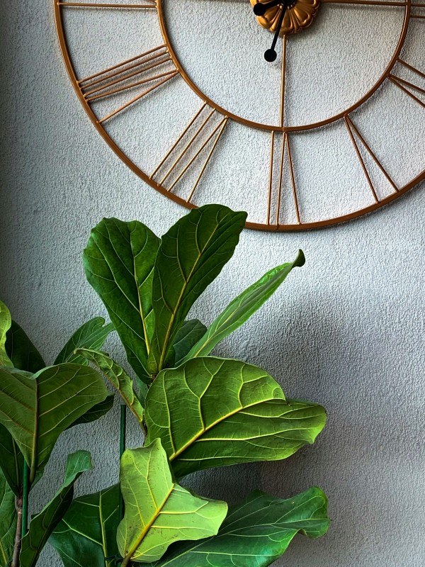 Фото: unsplash.com