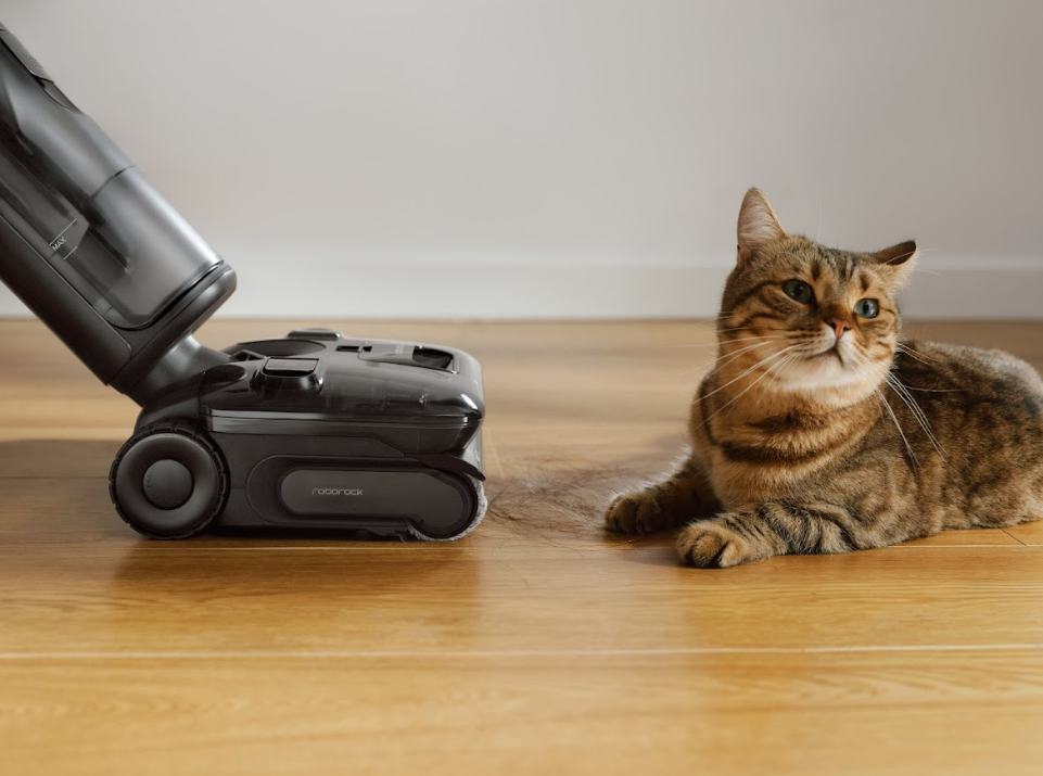 Фото: пресс-служба Roborock 