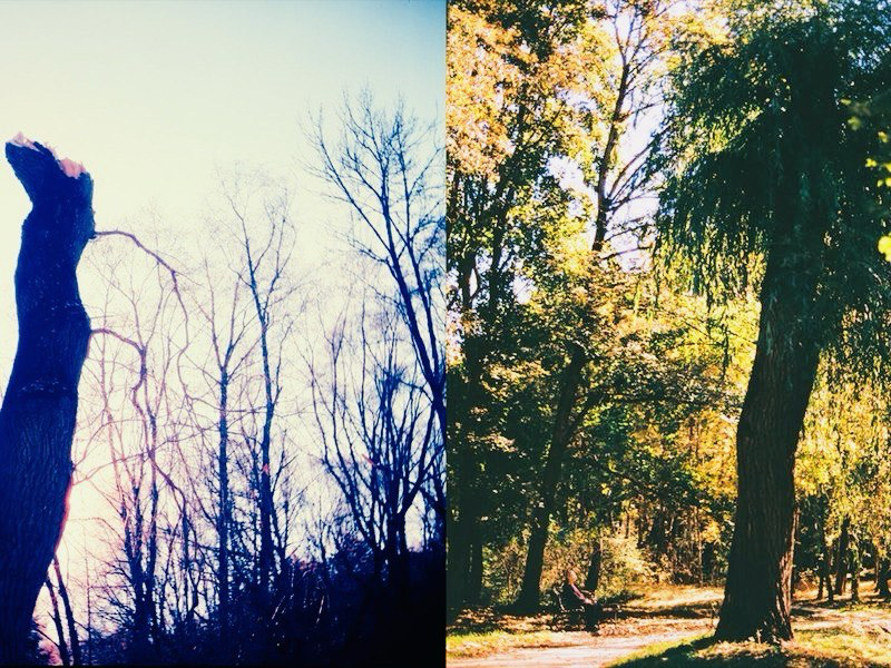 Персональная выставка "Зима, весна, лето, осень и снова зима" Татьяны Ергуновой. Предоставлено пресс-службой ЦТИ "Фабрика"