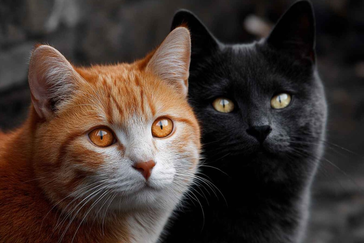 Изображение сгенерировано при помощи нейросети Midjourney