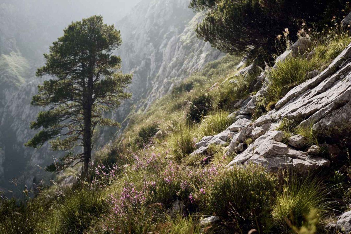 Изображение сгенерировано при помощи нейросети Midjourney