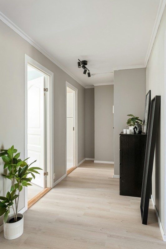 Фото: unsplash.com