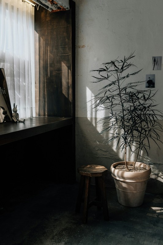 Фото: unsplash.com