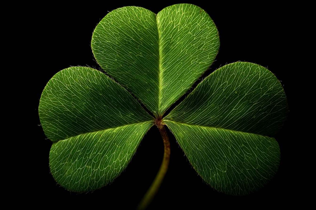 Изображение сгенерировано при помощи нейросети Midjourney