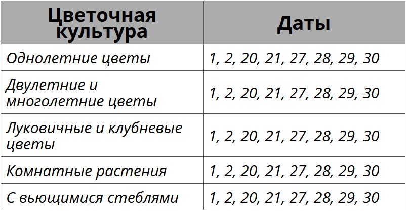 Лунный посевной календарь для цветов на апрель 2026 года
