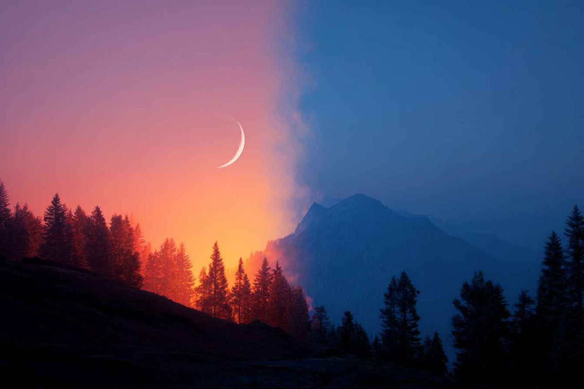 Изображение сгенерировано при помощи нейросети Midjourney