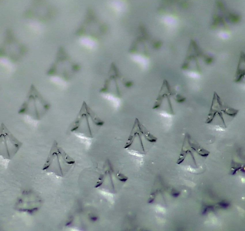 Фото: соцсети / @exogenislabs