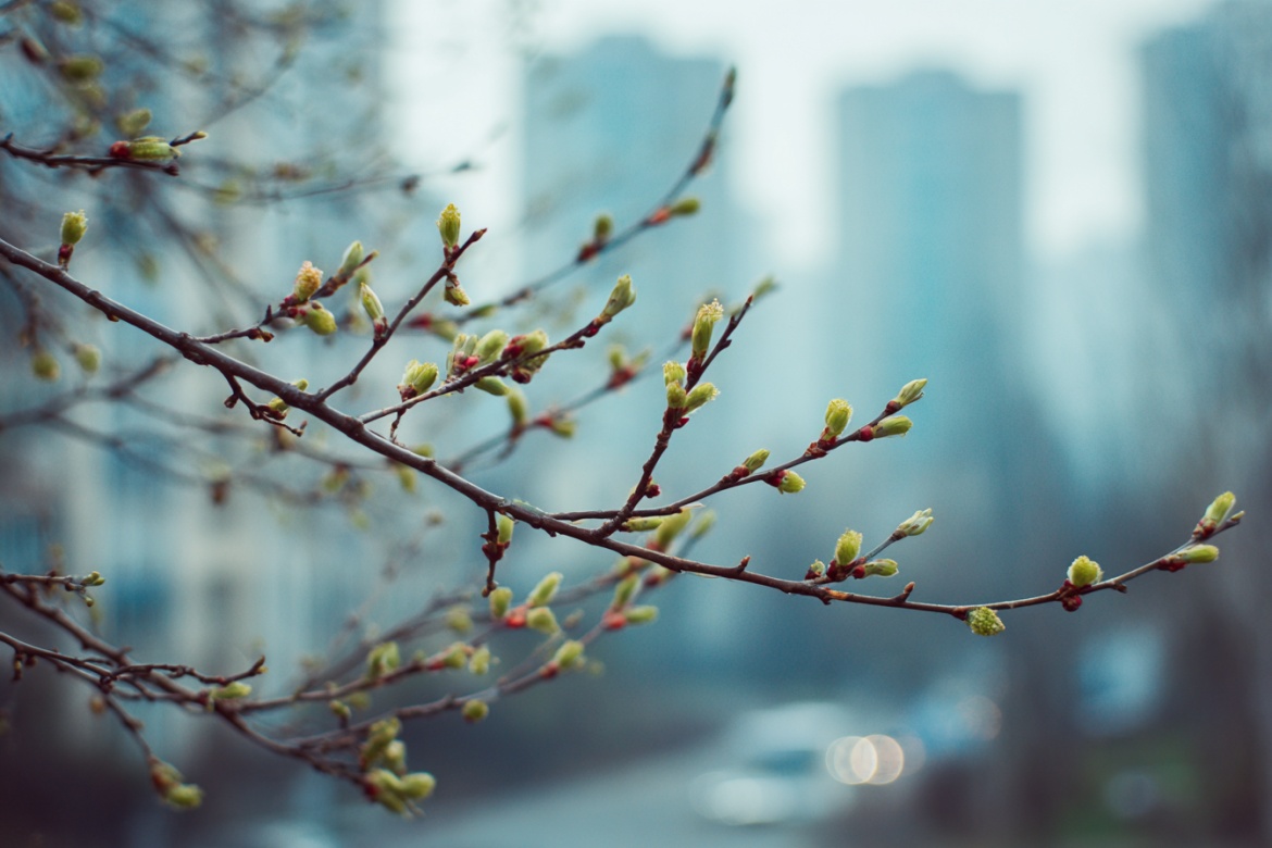 Изображение сгенерировано при помощи нейросети Midjourney