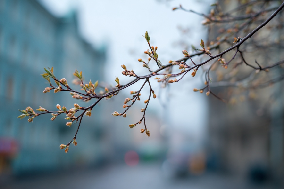 Изображение сгенерировано при помощи нейросети Midjourney