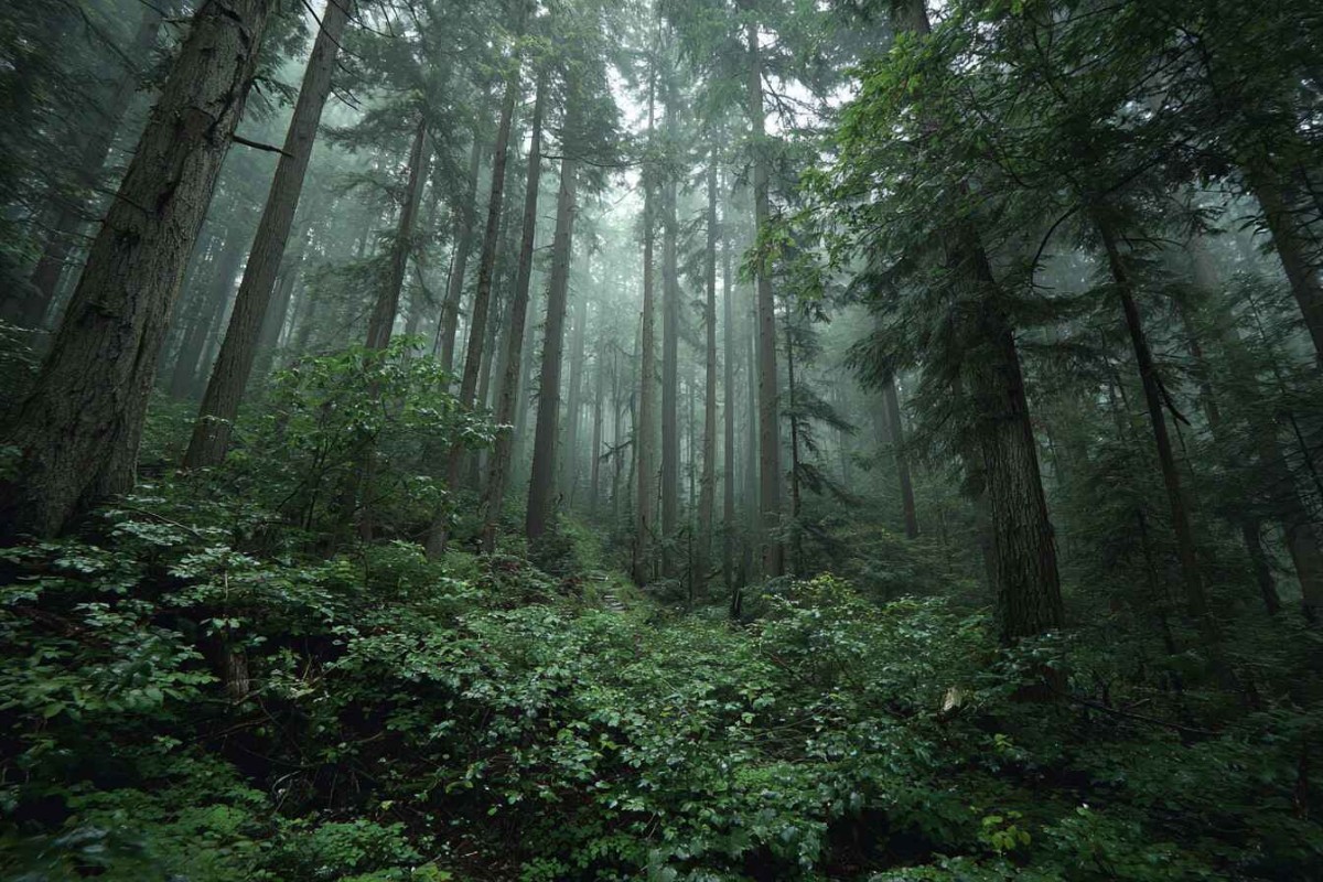 Изображение сгенерировано при помощи нейросети Midjourney