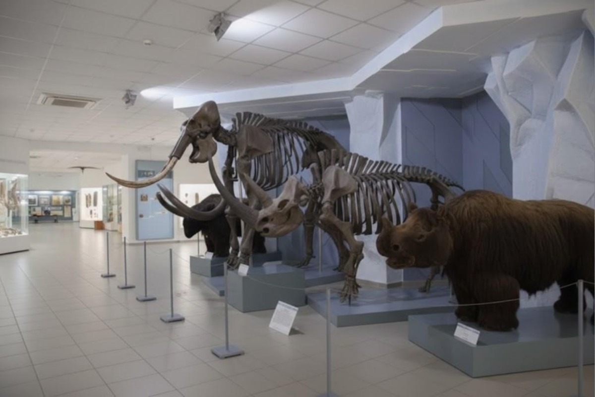 Изображение сгенерировано при помощи нейросети Midjourney