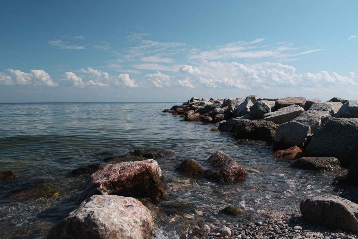 Изображение сгенерировано при помощи нейросети Midjourney