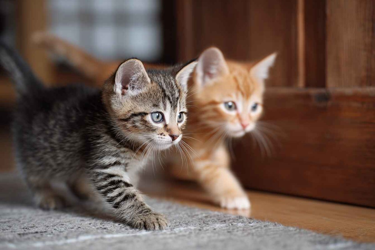 Изображение сгенерировано при помощи нейросети Midjourney