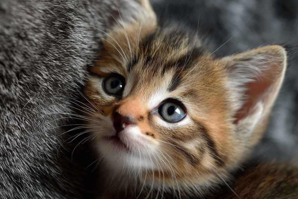 Изображение сгенерировано при помощи нейросети Midjourney