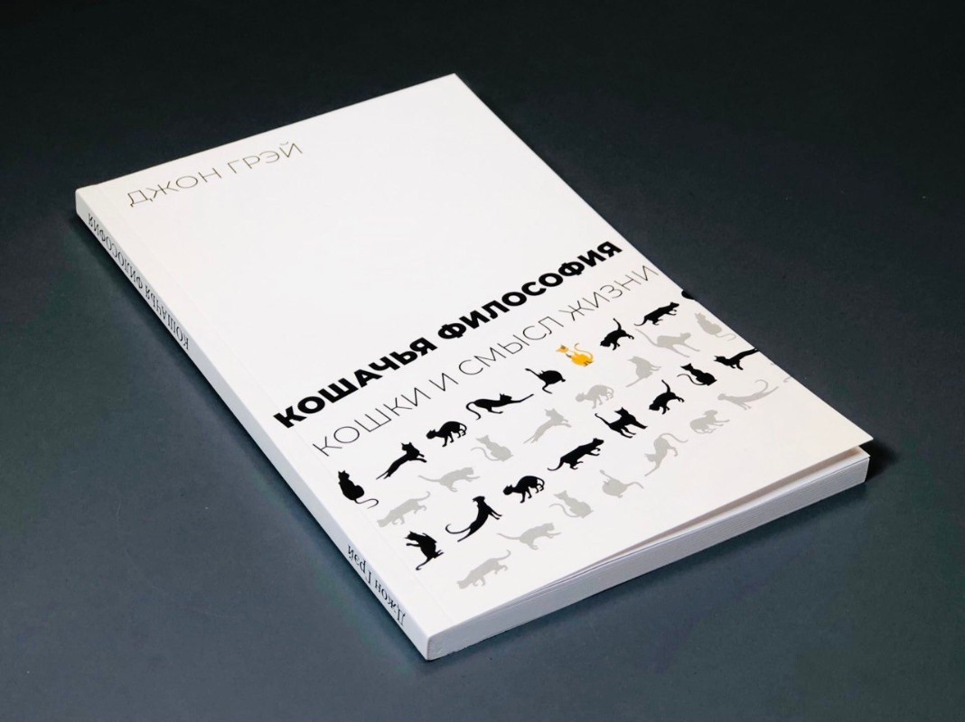 "Кошачья философия. Кошки и смысл жизни" (2023) Джона Грея. Фото: "Подписные издания"