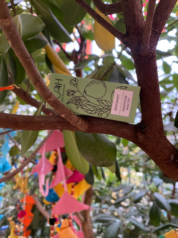 Фото: архивы пресс-службы JIAH