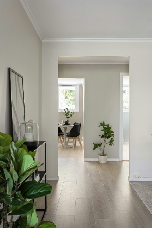 Фото: unsplash.com