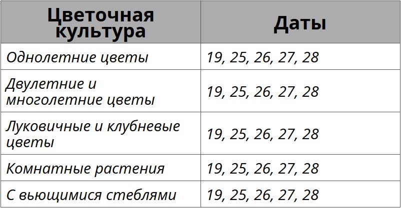 Благоприятные дни для посадки цветов по лунному календарю на май 2026 года – kleo.ru