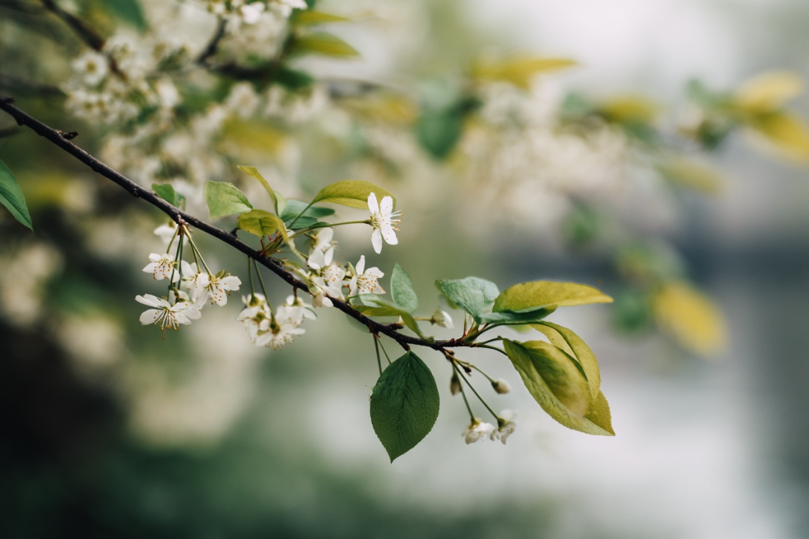 Изображение сгенерировано при помощи нейросети Midjourney