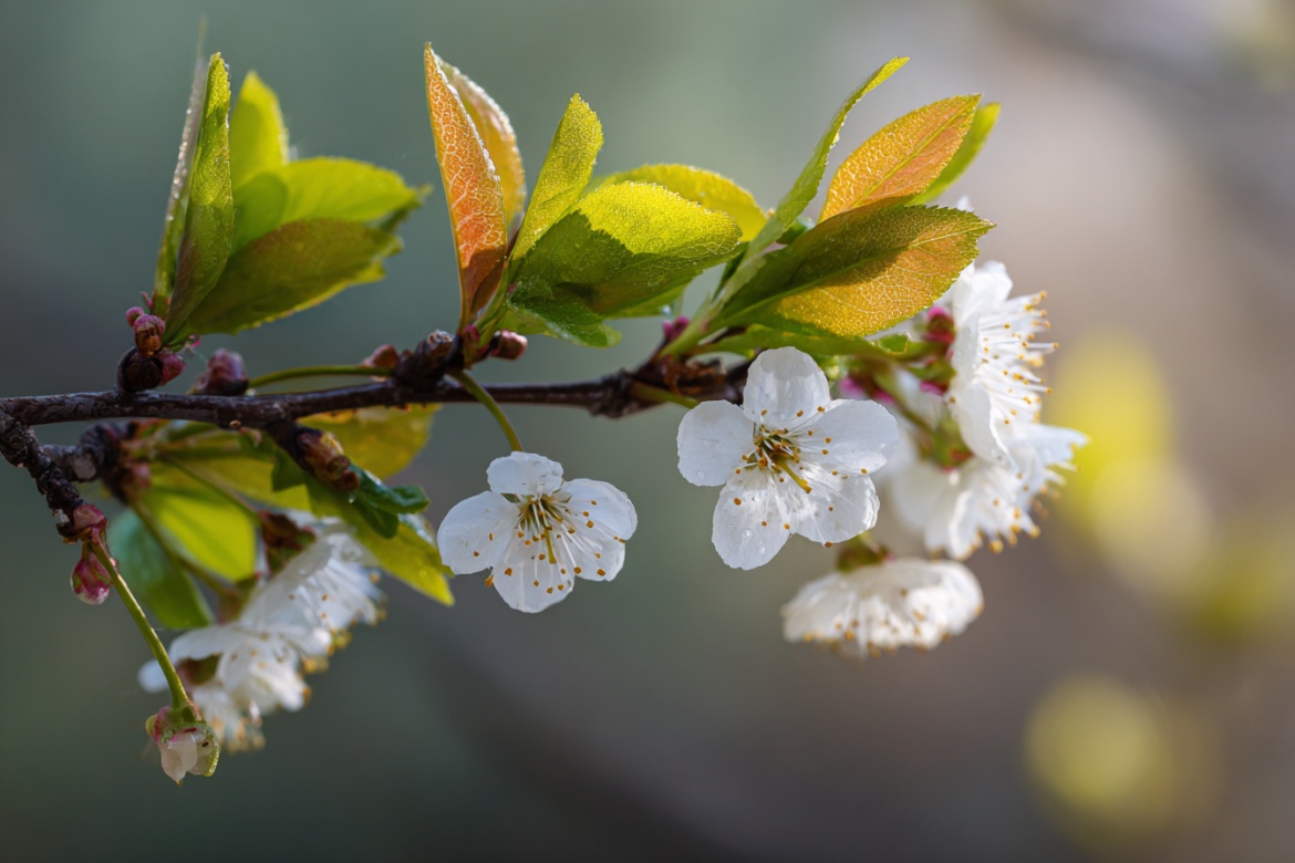 Изображение сгенерировано при помощи нейросети Midjourney