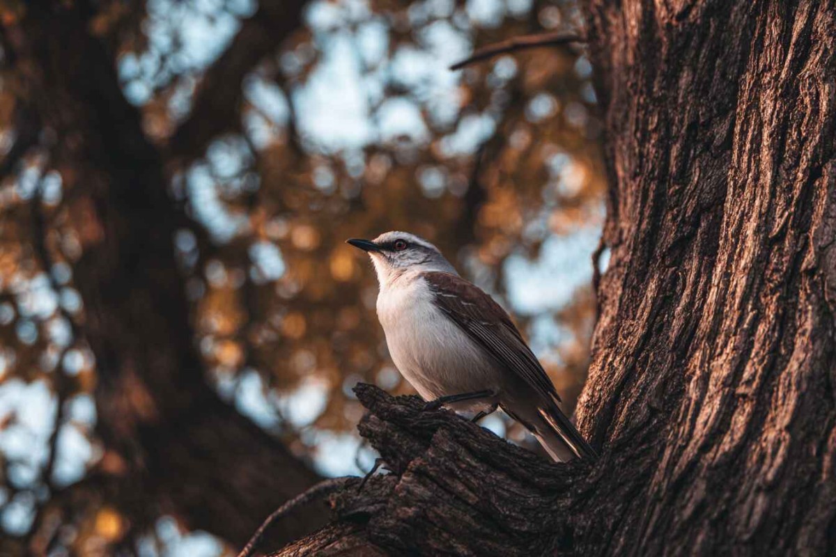 Изображение сгенерировано при помощи нейросети Midjourney