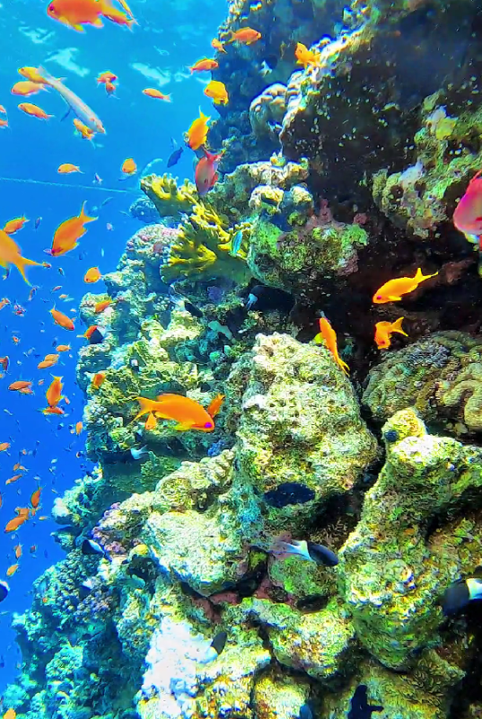 Фото: Клео.ру