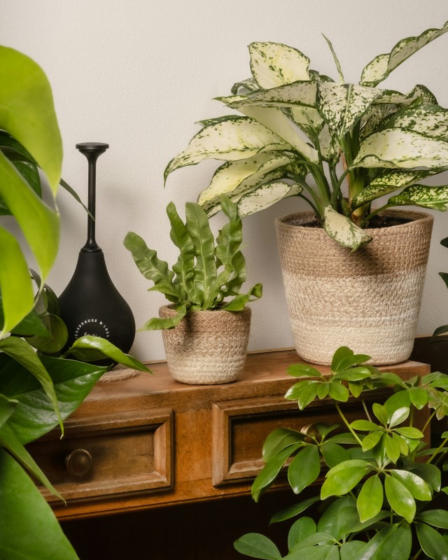 Фото: unsplash.com