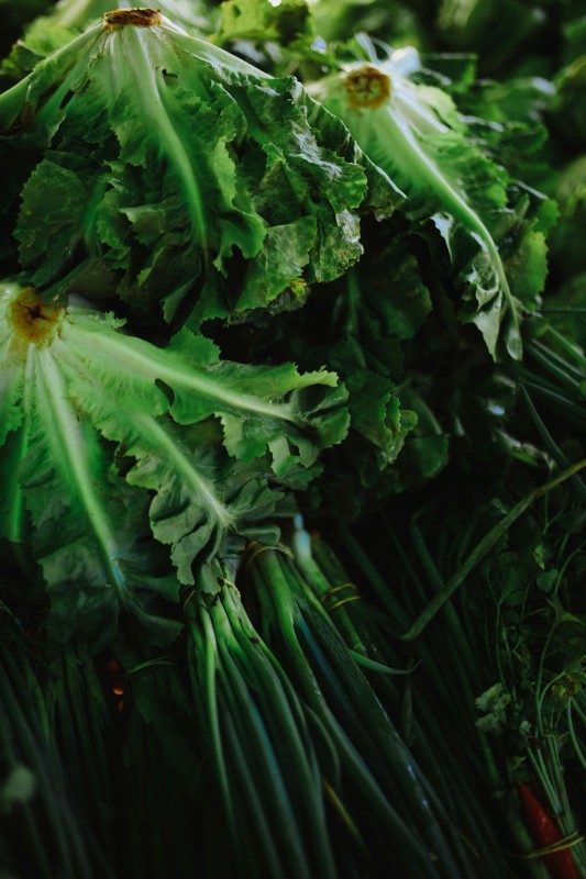 Фото: pexels.com