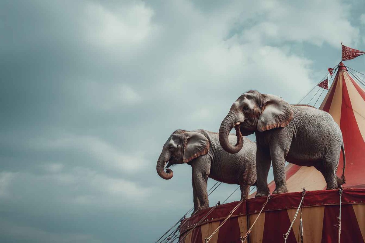 Изображение сгенерировано при помощи нейросети Midjourney