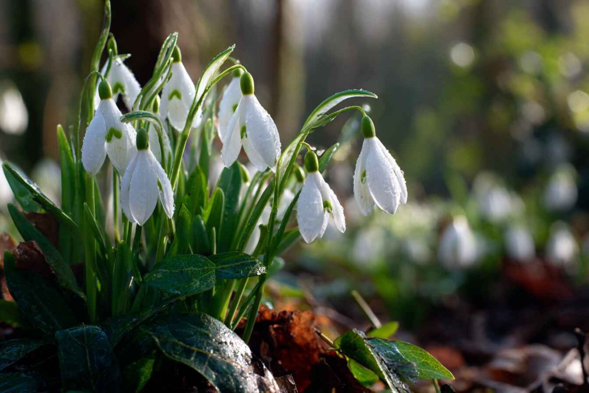 Изображение сгенерировано при помощи нейросети Midjourney