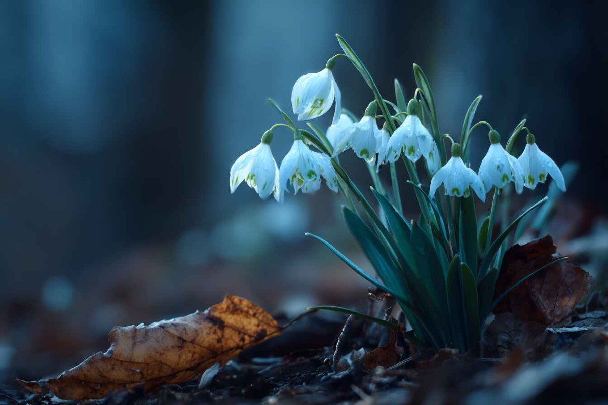 Изображение сгенерировано при помощи нейросети Midjourney