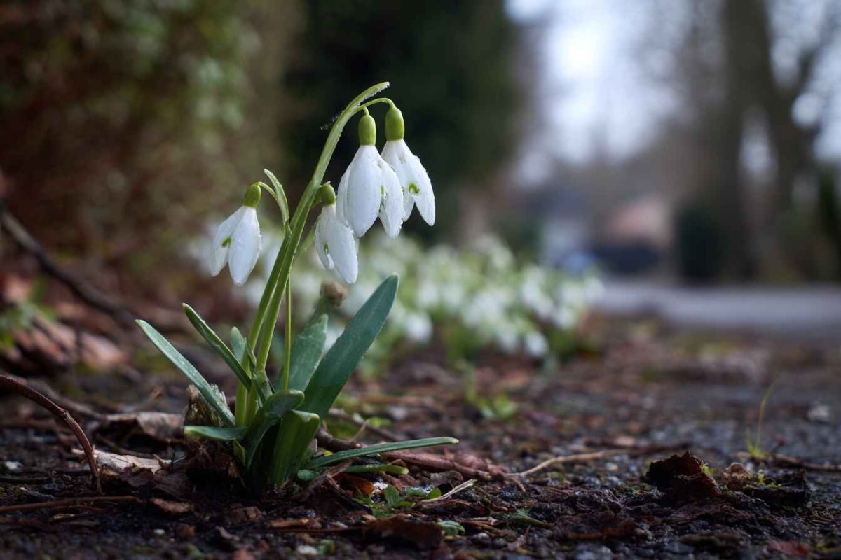 Изображение сгенерировано при помощи нейросети Midjourney