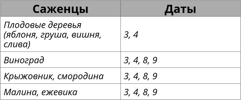 Благоприятные дни для посадки деревьев и кустарников в июне 2026 года