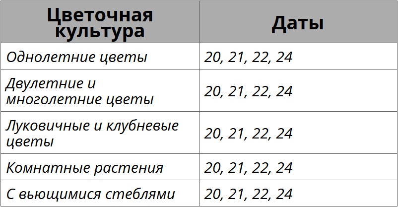 Благоприятные дни для посадки цветов в июне 2026 года