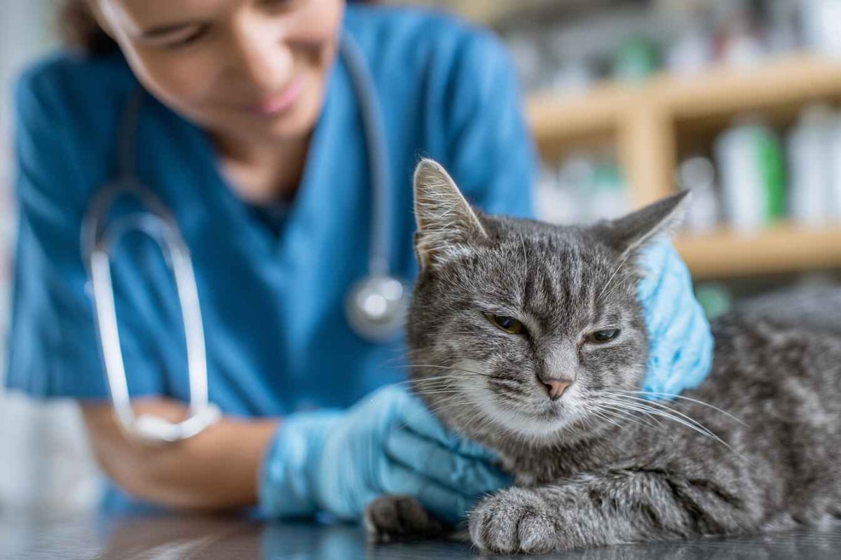 Изображение сгенерировано при помощи нейросети Midjourney