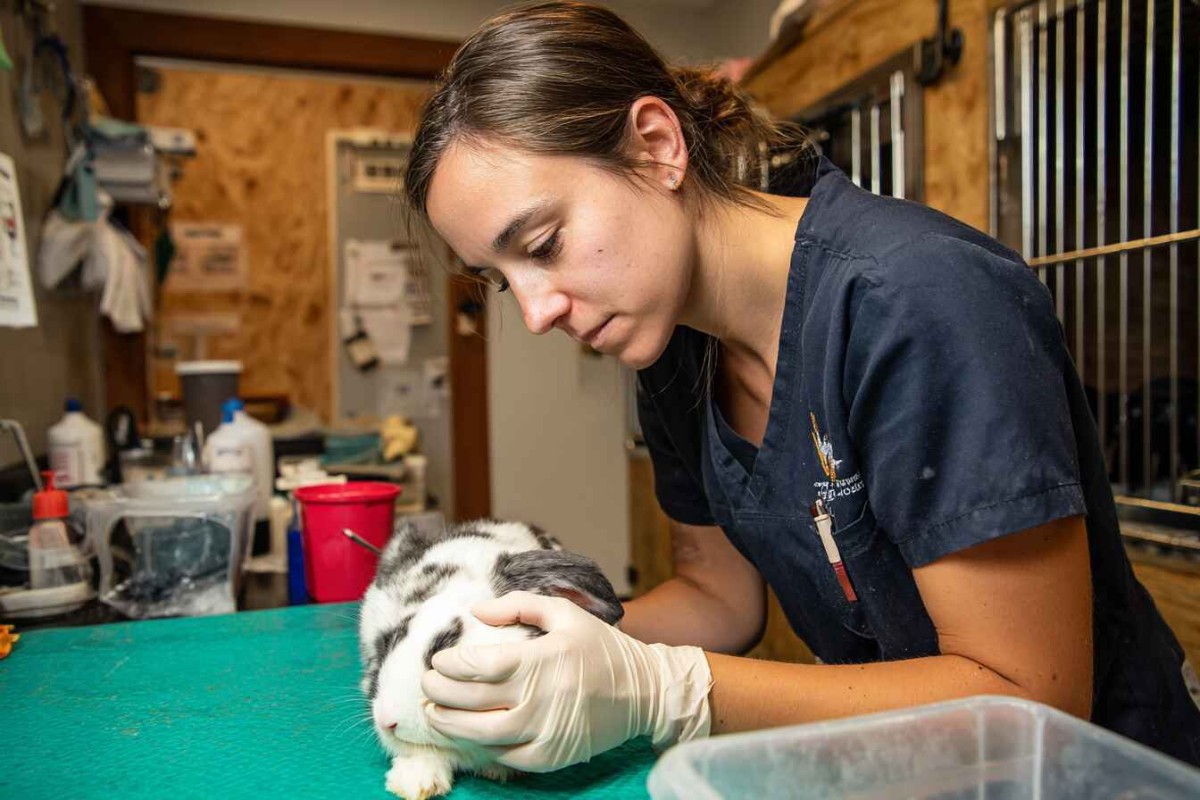 Изображение сгенерировано при помощи нейросети Midjourney