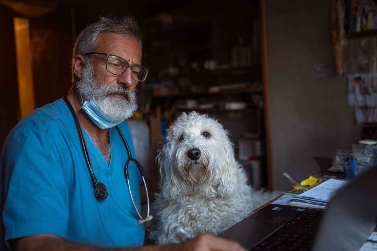 Изображение сгенерировано при помощи нейросети Midjourney