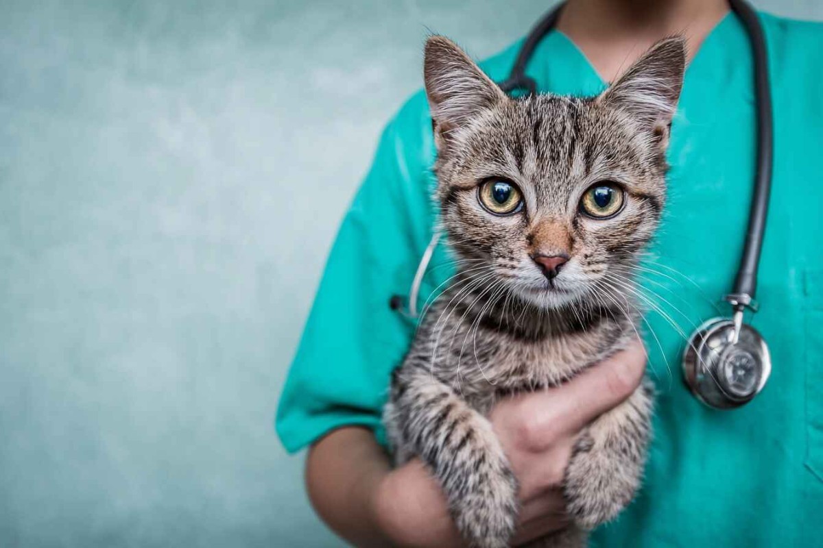 Изображение сгенерировано при помощи нейросети Midjourney