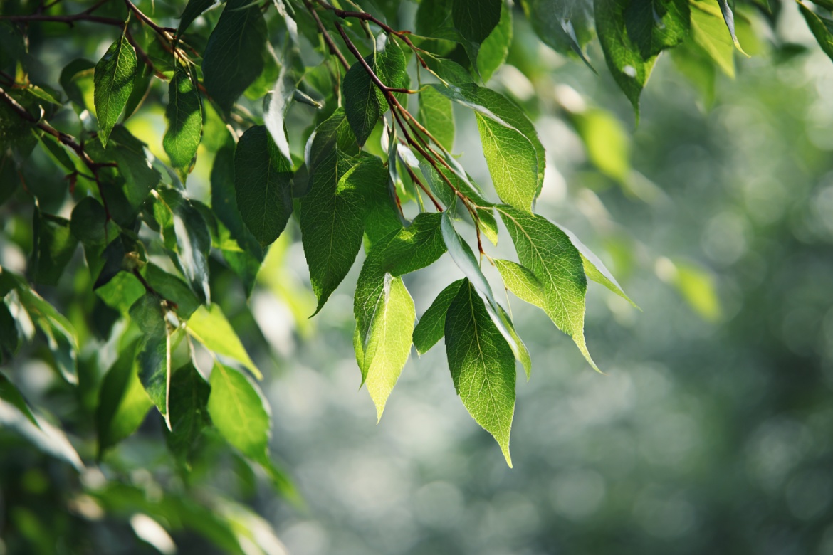 Изображение сгенерировано при помощи нейросети Midjourney