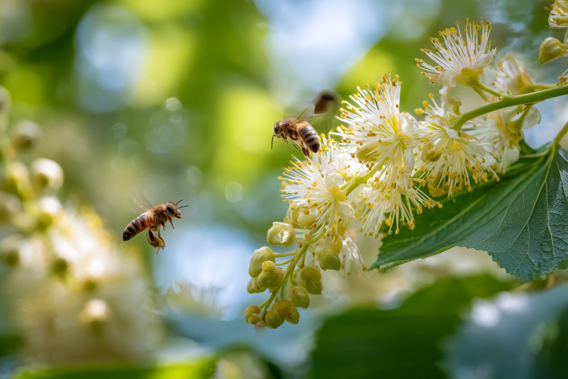 Изображение сгенерировано при помощи нейросети Midjourney