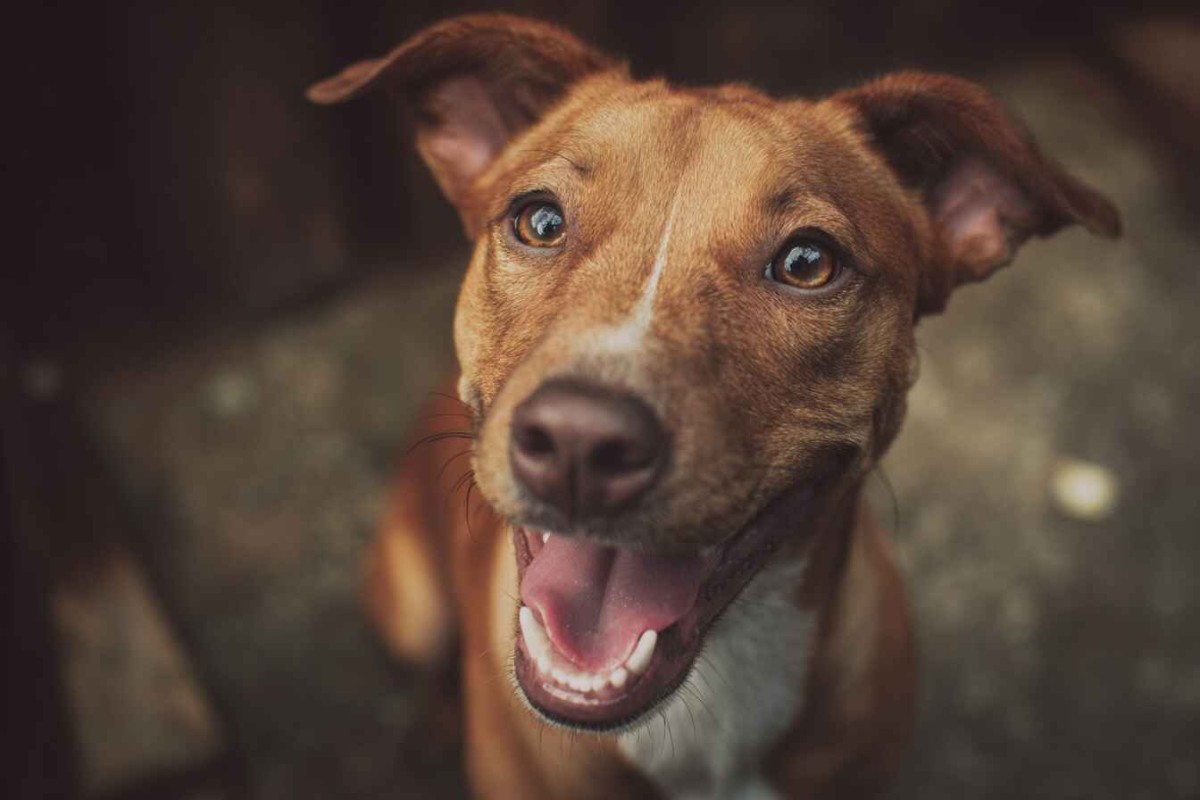 Изображение сгенерировано при помощи нейросети Midjourney